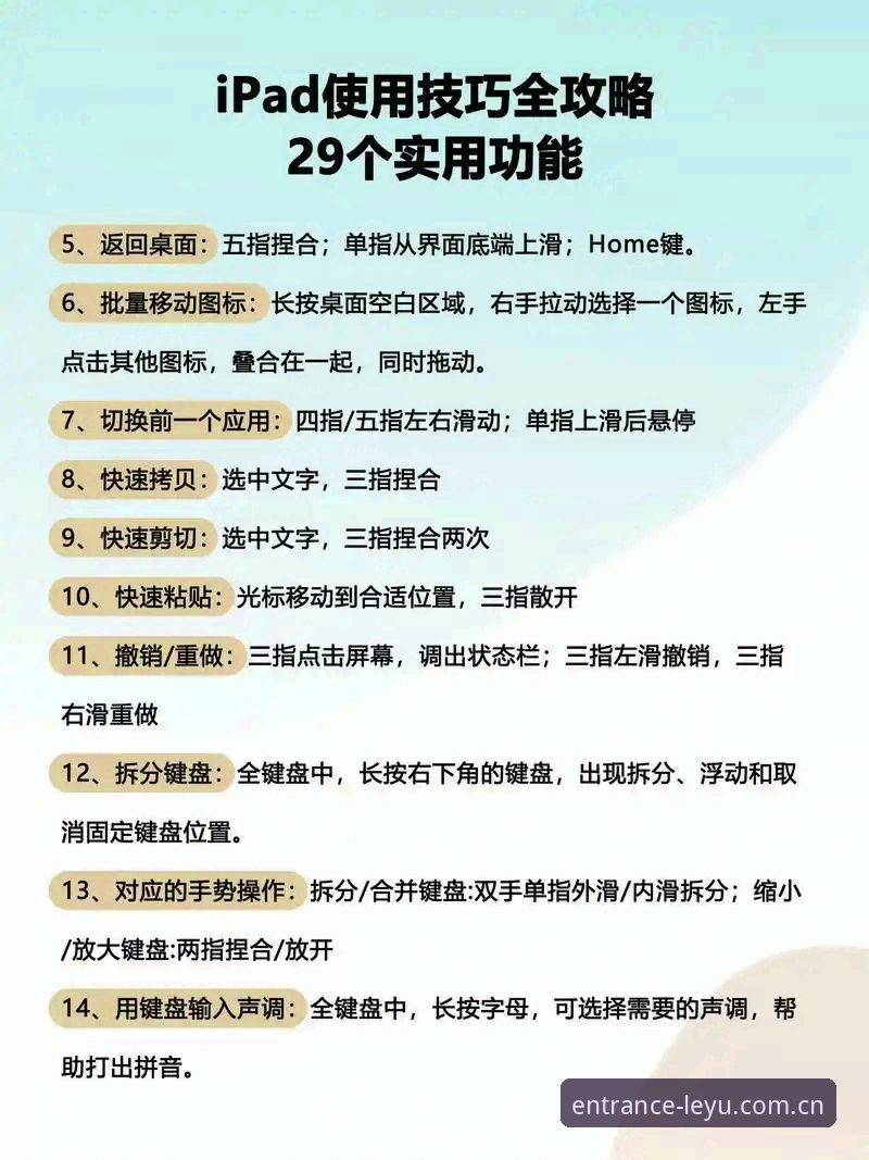 乐鱼体育平台2026最新版本使用指南——新手也能快速上手的完整教程